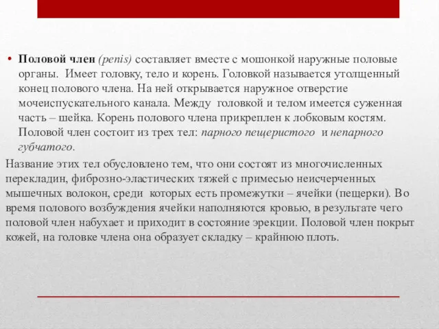 Половой член (penis) составляет вместе с мошонкой наружные половые органы.