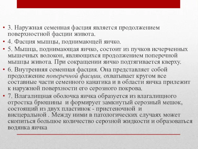 3. Наружная семенная фасция является продолжением поверхностной фасции живота. 4.