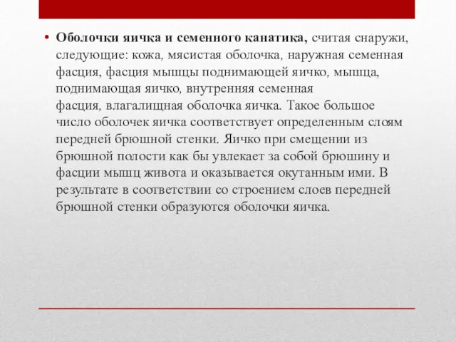 Оболочки яичка и семенного канатика, считая снаружи, следующие: кожа, мясистая