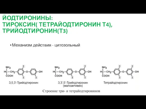 ЙОДТИРОНИНЫ: ТИРОКСИН( ТЕТРАЙОДТИРОНИН Т4), ТРИЙОДТИРОНИН(Т3) Механизм действия - цитозольный
