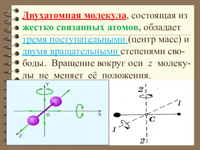 Двухатомная молекула, состоящая из жестко связанных атомов, обладает тремя поступательными