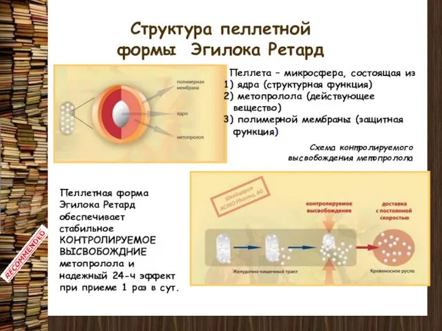 Структура пеллетной формы Эгилока Ретард Пеллетная форма Эгилока Ретард обеспечивает