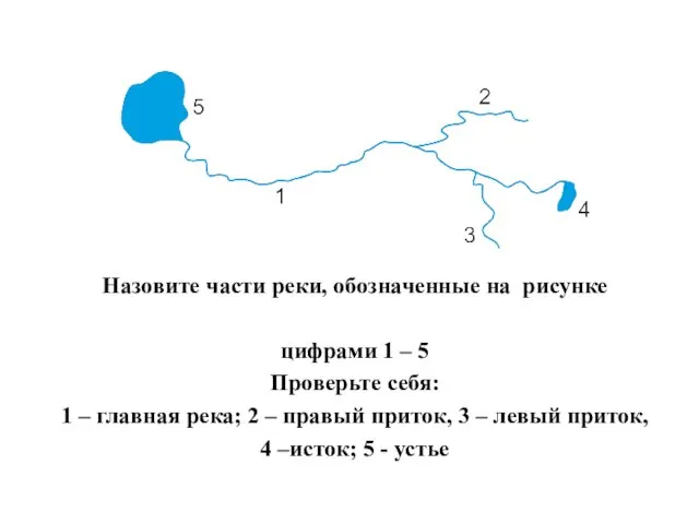 Назовите части реки, обозначенные на рисунке цифрами 1 – 5 Проверьте себя: 1