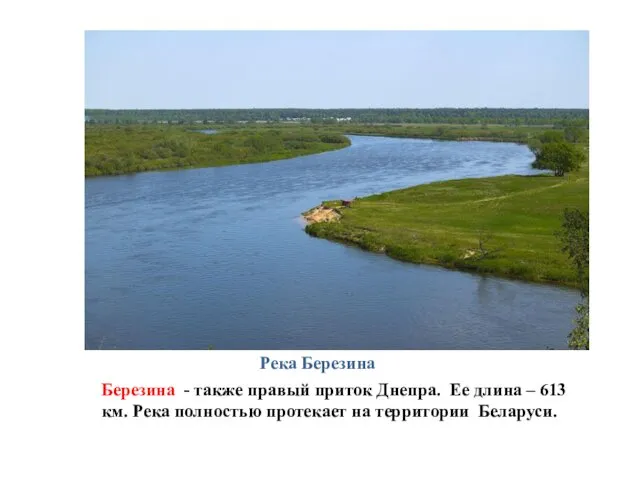 Река Березина Березина - также правый приток Днепра. Ее длина – 613 км.