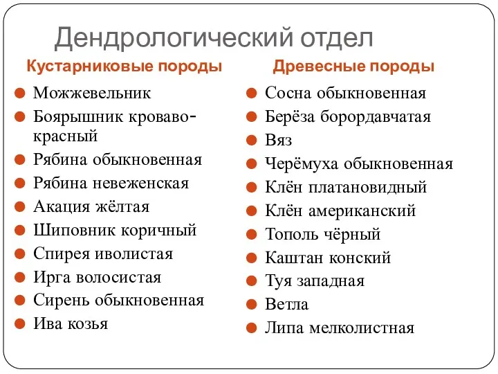 Дендрологический отдел Кустарниковые породы Древесные породы Можжевельник Боярышник кроваво-красный Рябина