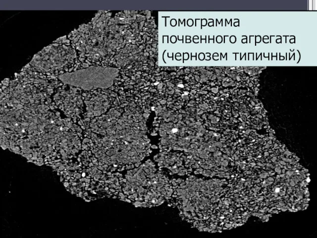 Томограмма почвенного агрегата (чернозем типичный)