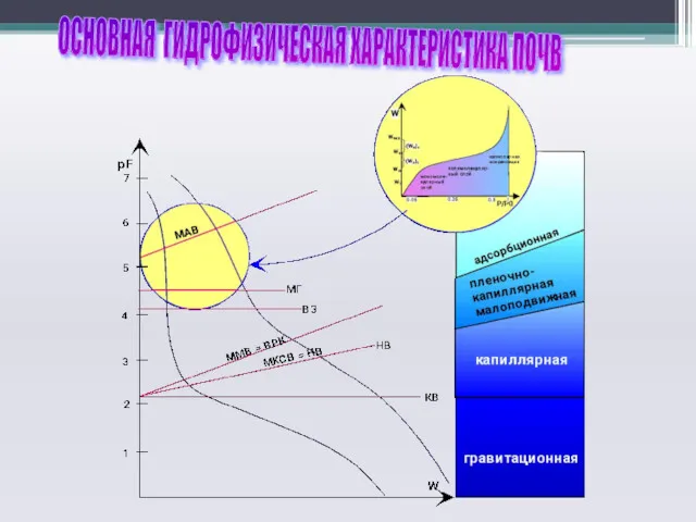 ОСНОВНАЯ ГИДРОФИЗИЧЕСКАЯ ХАРАКТЕРИСТИКА ПОЧВ