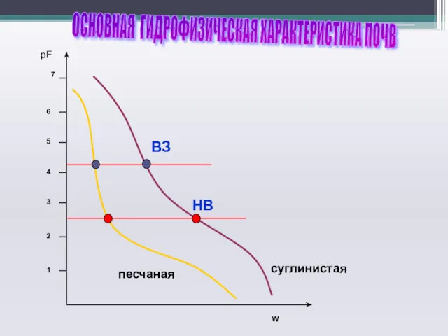 ОСНОВНАЯ ГИДРОФИЗИЧЕСКАЯ ХАРАКТЕРИСТИКА ПОЧВ НВ ВЗ песчаная суглинистая