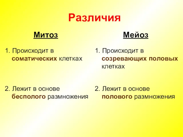 Различия Мейоз Митоз 1. Происходит в соматических клетках 1. Происходит