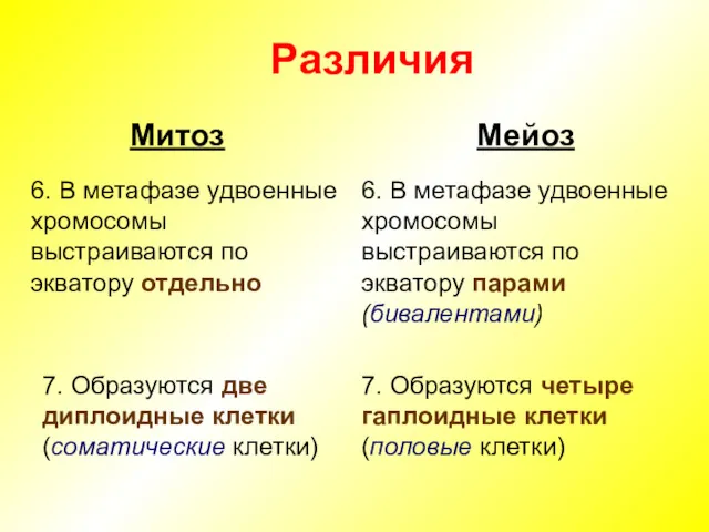 Различия Мейоз Митоз 6. В метафазе удвоенные хромосомы выстраиваются по