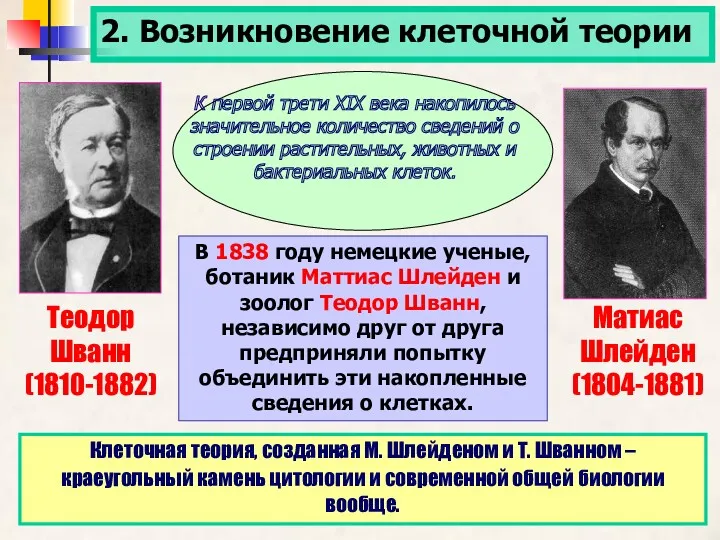 2. Возникновение клеточной теории К первой трети XIX века накопилось