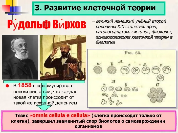 Ру́дольф Ви́рхов Тезис «omnis cellula e cellula» (клетка происходит только