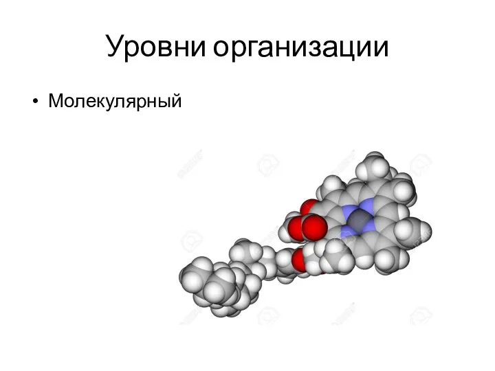 Уровни организации Молекулярный