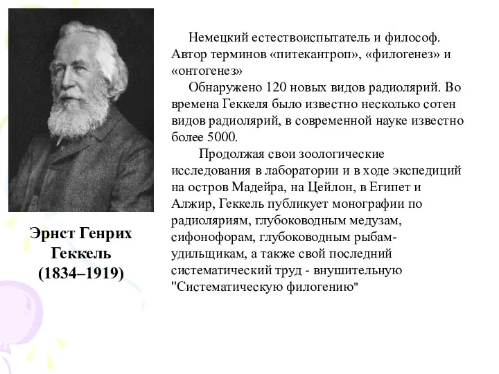 Эрнст Генрих Геккель (1834–1919) Немецкий естествоиспытатель и философ. Автор терминов