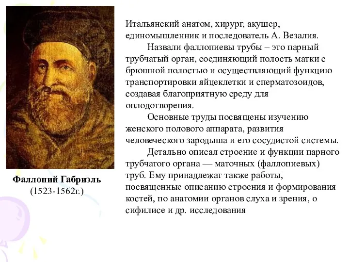 Фаллопий Габриэль (1523-1562г.) Итальянский анатом, хирург, акушер, единомышленник и последователь