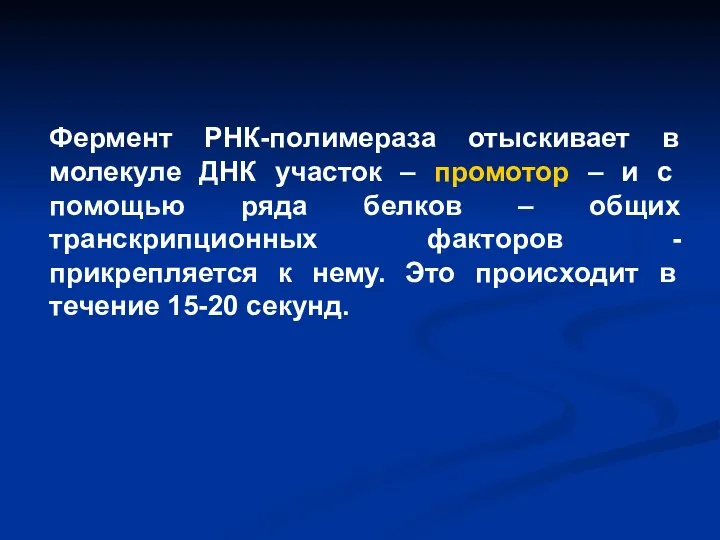 Фермент РНК-полимераза отыскивает в молекуле ДНК участок – промотор – и с помощью