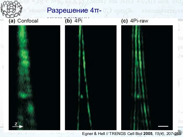 Разрешение 4π-микроскопии Разрешение 4π-микроскопии Egner & Hell // TRENDS Cell Biol 2005, 15(4), 207-215