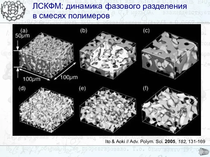 ЛСКФМ: динамика фазового разделения в смесях полимеров ЛСКФМ: динамика фазового разделения в смесях