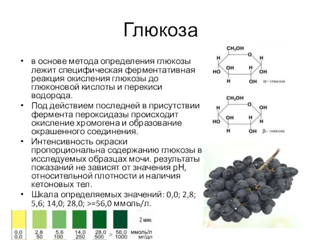 Глюкоза в основе метода определения глюкозы лежит специфическая ферментативная реакция