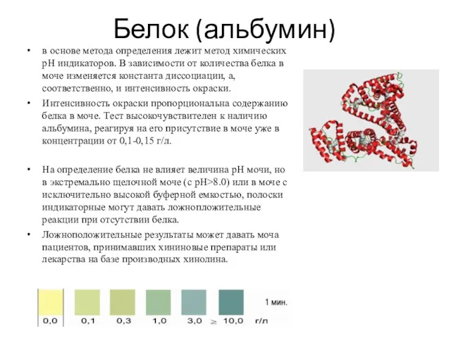 Белок (альбумин) в основе метода определения лежит метод химических рН