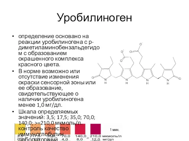 Уробилиноген определение основано на реакции уробилиногена с р-диметиламинобензальдегидом с образованием окрашенного комплекса красного