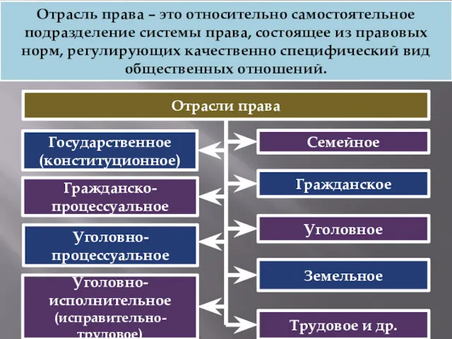 Отрасль права – это относительно самостоятельное подразделение системы права, состоящее из правовых норм,