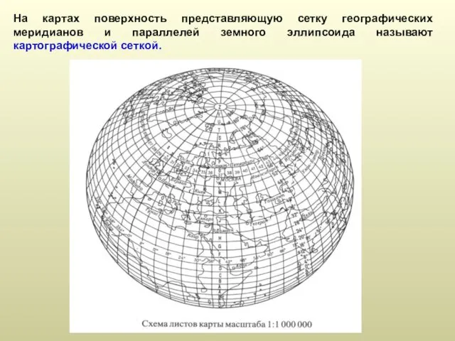 На картах поверхность представляющую сетку географических меридианов и параллелей земного эллипсоида называют картографической сеткой.
