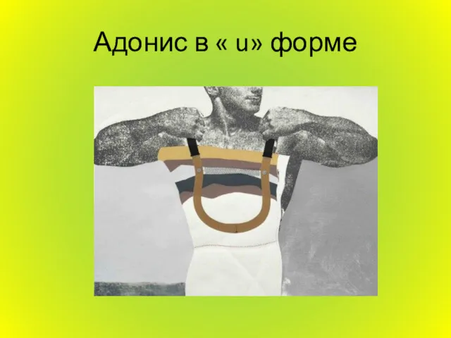 Адонис в « u» форме