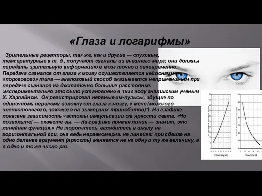 «Глаза и логарифмы» Зрительные рецепторы, так же, как и другие