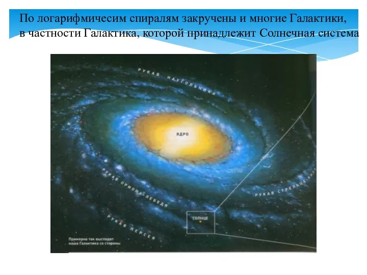 По логарифмичесим спиралям закручены и многие Галактики, в частности Галактика, которой принадлежит Солнечная система