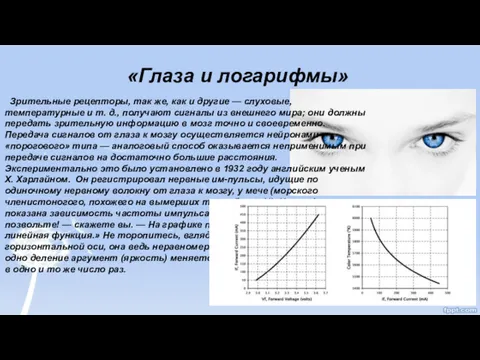 «Глаза и логарифмы» Зрительные рецепторы, так же, как и другие