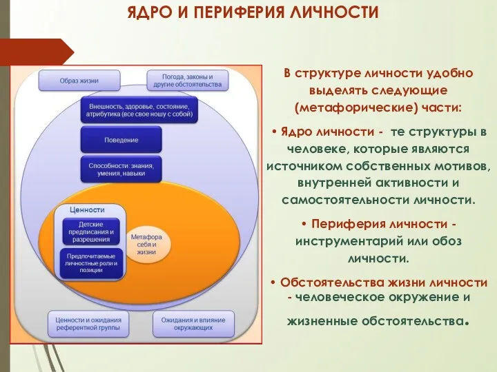 ЯДРО И ПЕРИФЕРИЯ ЛИЧНОСТИ В структуре личности удобно выделять следующие