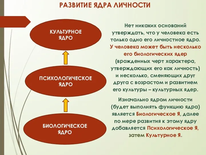 РАЗВИТИЕ ЯДРА ЛИЧНОСТИ Нет никаких оснований утверждать, что у человека