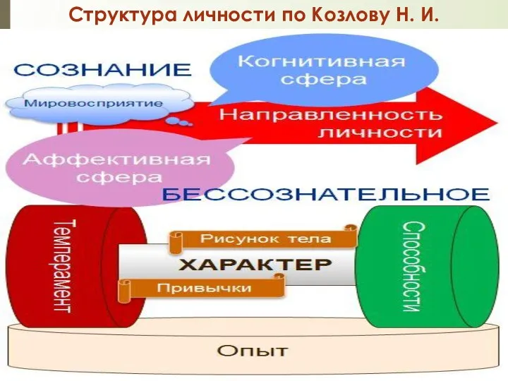 Структура личности по Козлову Н. И.