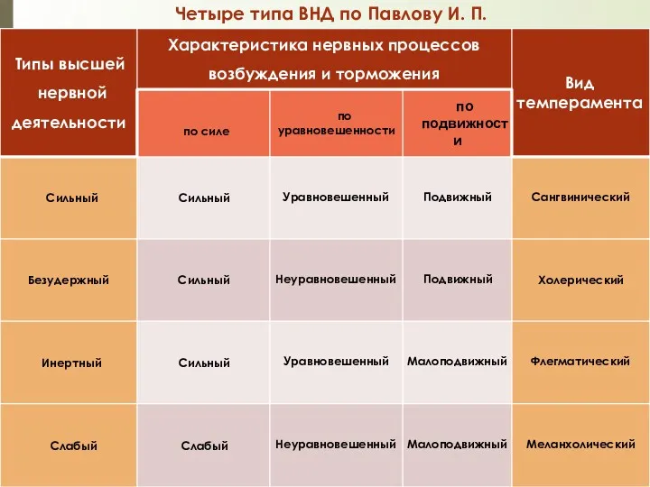 Четыре типа ВНД по Павлову И. П.