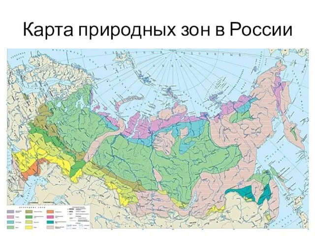 Карта природных зон в России