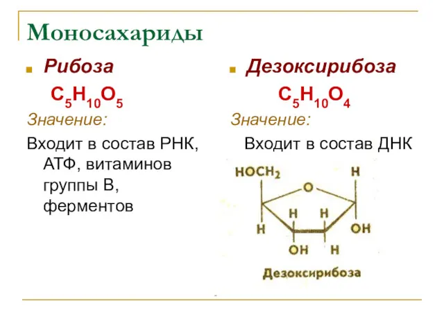 Моносахариды Рибоза С5Н10О5 Значение: Входит в состав РНК, АТФ, витаминов
