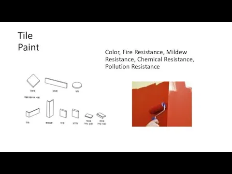Tile Paint Color, Fire Resistance, Mildew Resistance, Chemical Resistance, Pollution Resistance