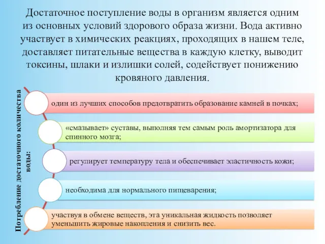 Достаточное поступление воды в организм является одним из основных условий