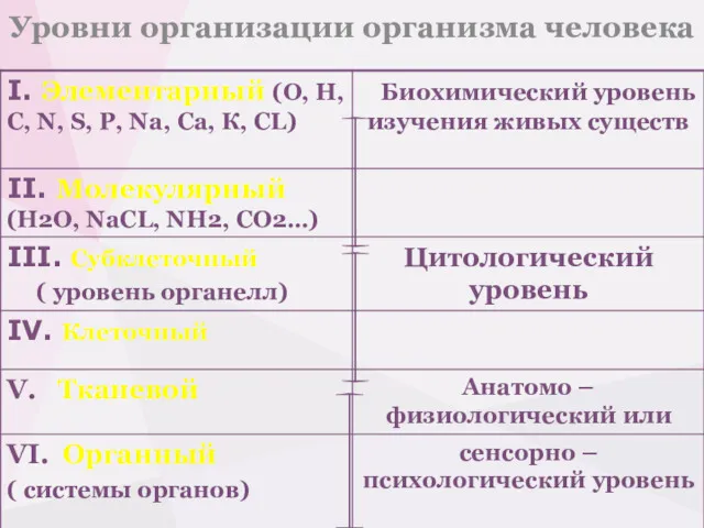 Уровни организации организма человека