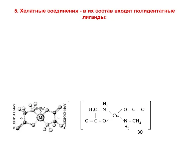 5. Хелатные соединения - в их состав входят полидентатные лиганды: