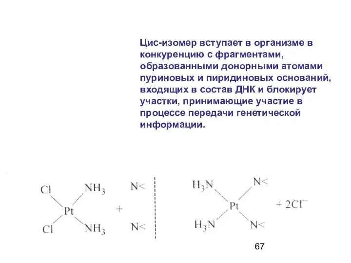 Цис-изомер вступает в организме в конкуренцию с фрагментами, образованными донорными