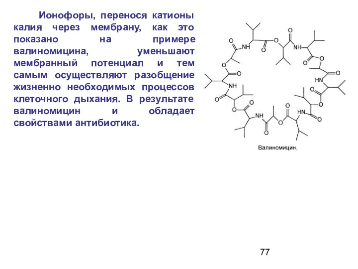 Ионофоры, перенося катионы калия через мембрану, как это показано на