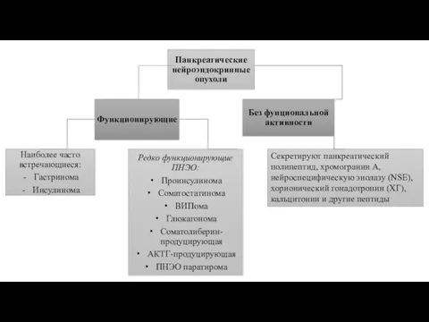 Панкреатические нейроэндокринные опухоли Без фунциональной активности Наиболее часто встречающиеся: Гастринома