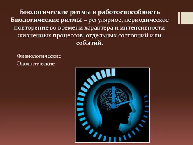 Биологические ритмы и работоспособность Биологические ритмы – регулярное, периодическое повторение