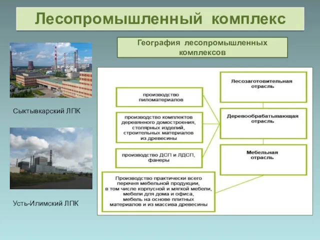 Архангельск Сыктывкар Братск Усть-Илимск Красноярск Амурск Лесосибирск Лесопромышленные комплексы Структура лесопромышленного комплекса Сыктывкарский
