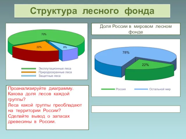 Структура лесного фонда Проанализируйте диаграмму. Какова доля лесов каждой группы? Леса какой группы