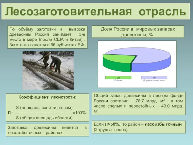 Доля России в мировых запасах древесины, %. Общий запас древесины в лесном фонде
