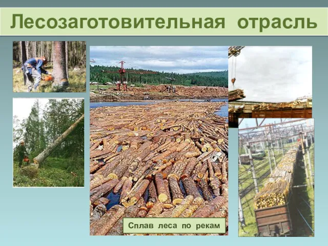 Лесозаготовительная отрасль Сплав леса по рекам