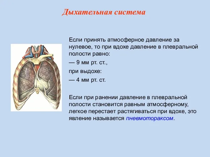 Если принять атмосферное давление за нулевое, то при вдохе давление